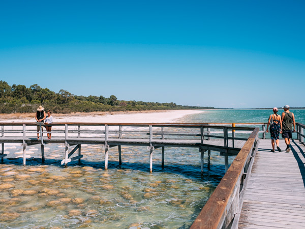 Visitors stopping to view the thrombolites at Lake Clifton