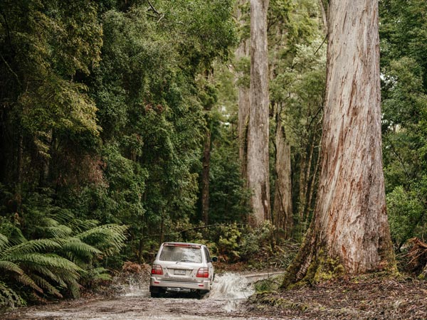 Driving off road in Tasmania