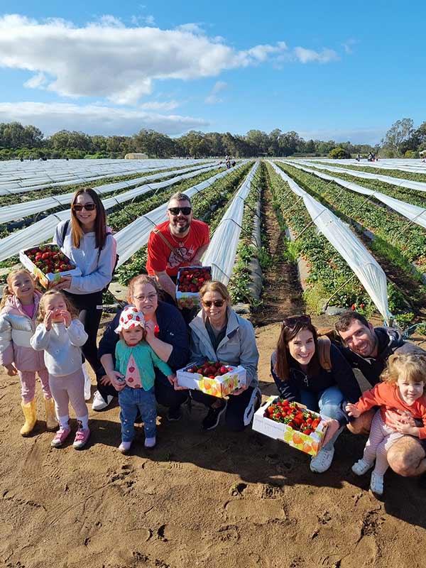 Minh Tran Strawberry Farm