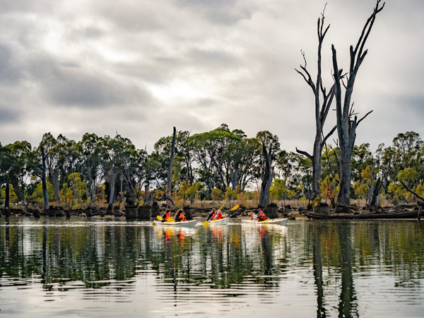 Kayaking along the Murray River in Victoria