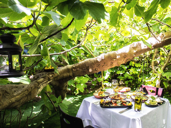 dining under lush greenery at The Fig Tree, Kangaroo Island, SA