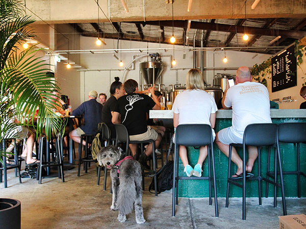 interior future brewing sydney inner west ale trail