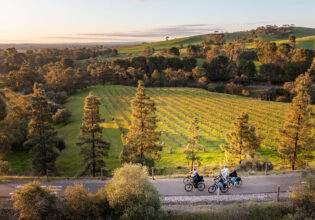 Cyclists enjoy the scenic beauty of Barossa Valley, just moments from Accor's South Australian properties.