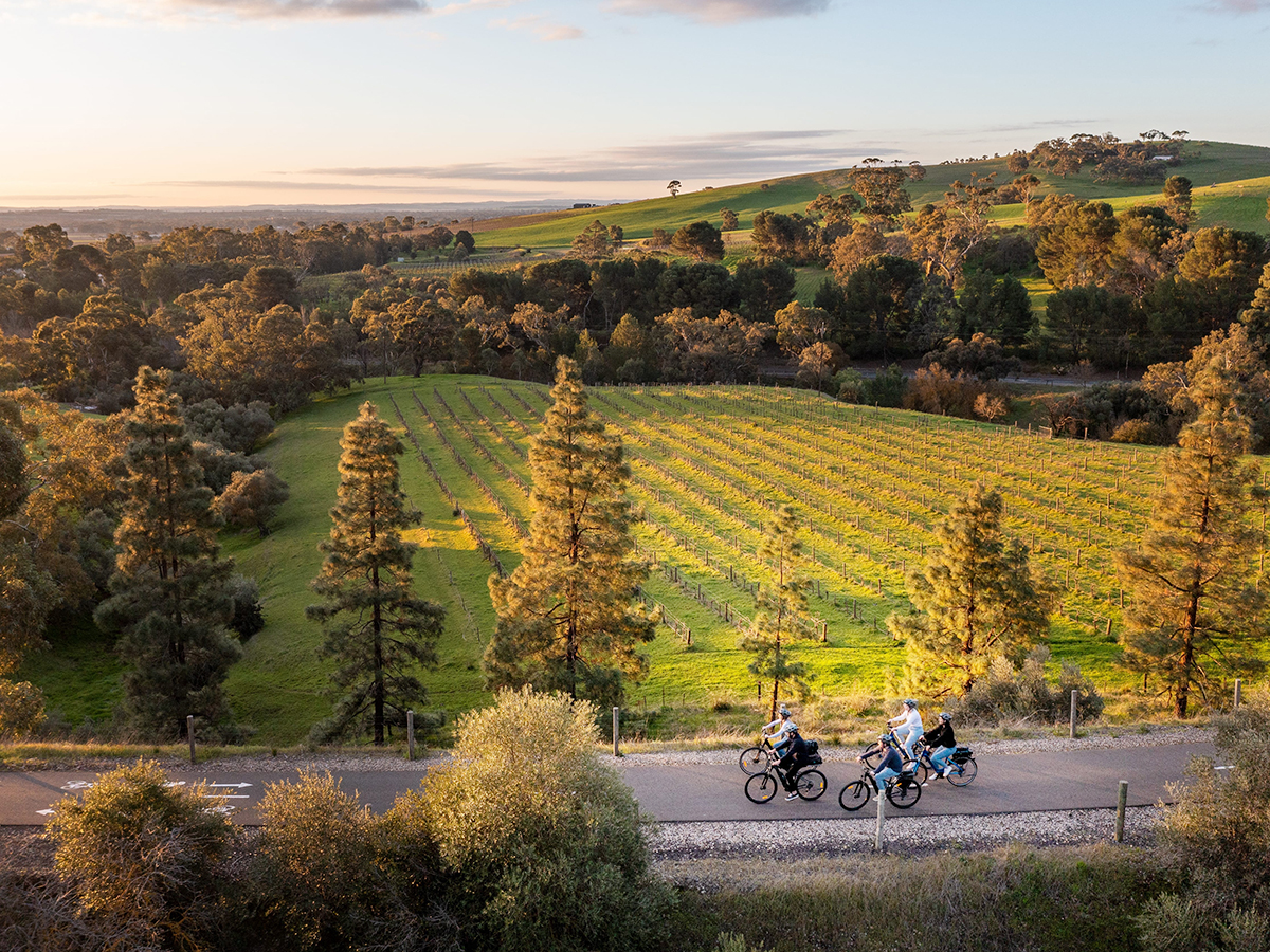 Cyclists enjoy the scenic beauty of Barossa Valley, just moments from Accor's South Australian properties.