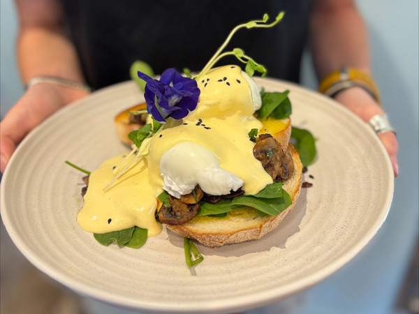 a plate of eggs benedict at Spilt Milk, Yamba