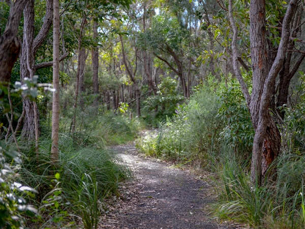 One Track for All in Ulladulla, NSW