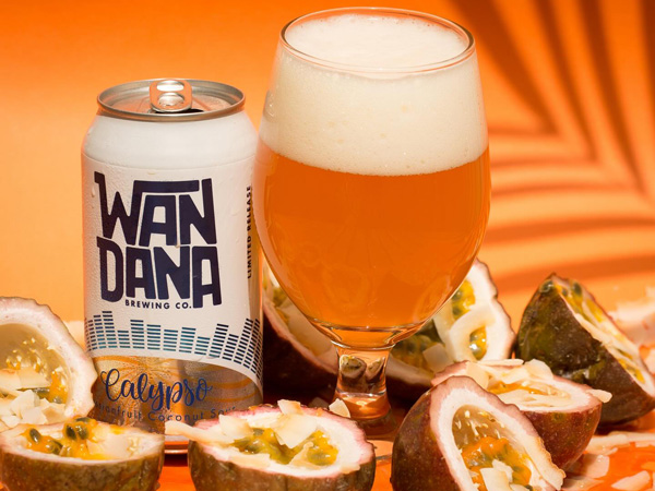 the calypso sour beer with sliced passionfruit and toasted organic coconut at Wandana Brewing Co