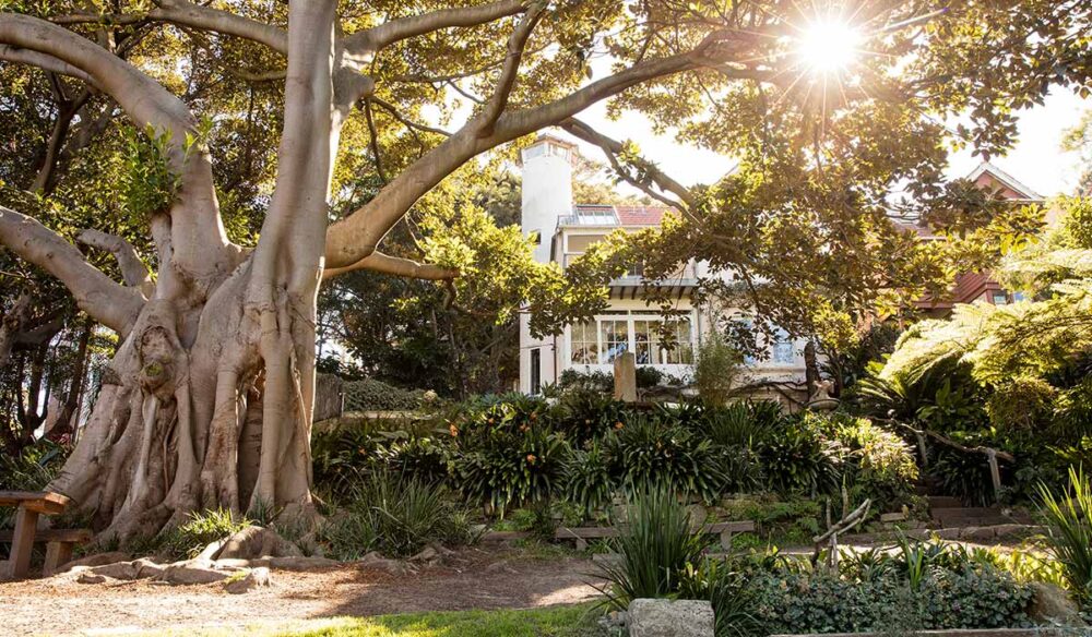 Wendy Whiteley's Secret Garden is one of the most romantic places in sydney