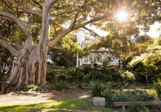 Wendy Whiteley's Secret Garden is one of the most romantic places in sydney