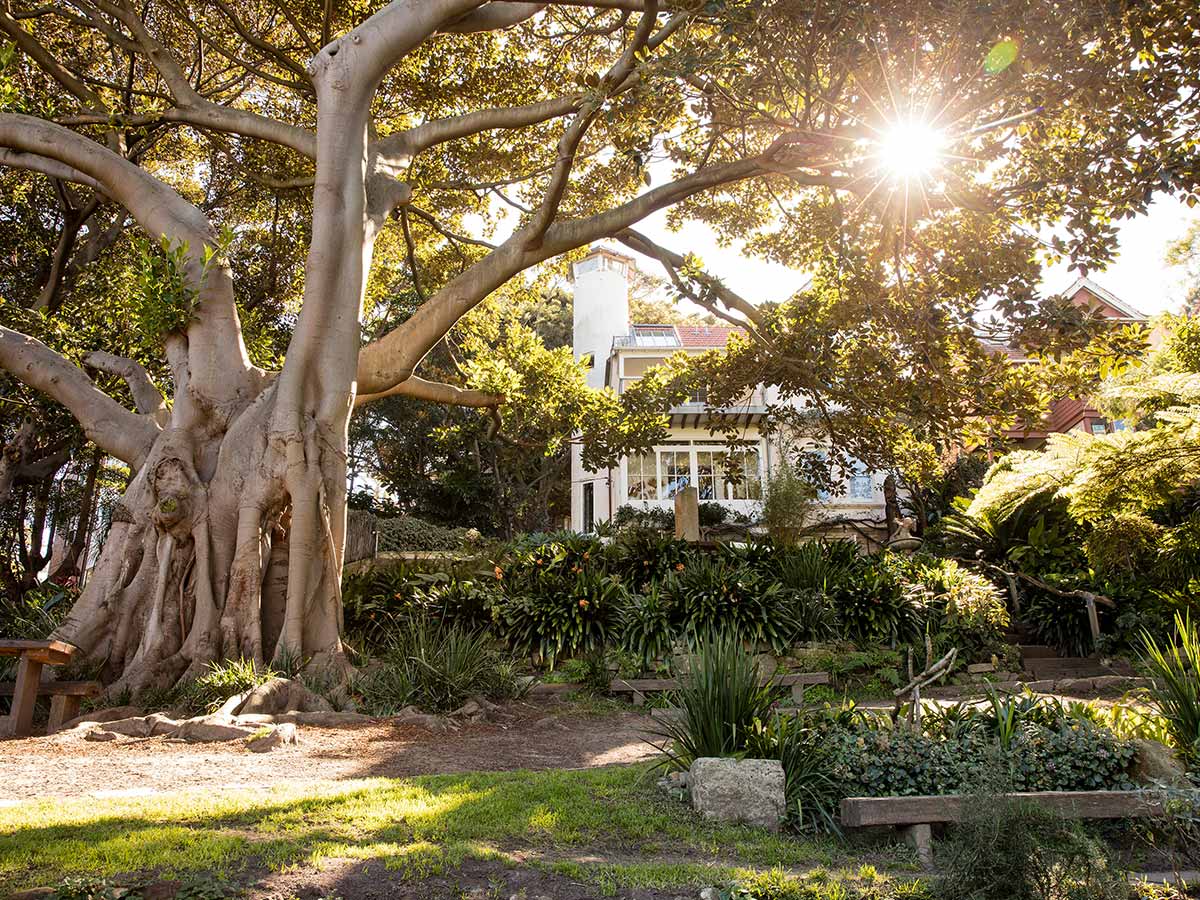 Wendy Whiteley's Secret Garden is one of the most romantic places in sydney