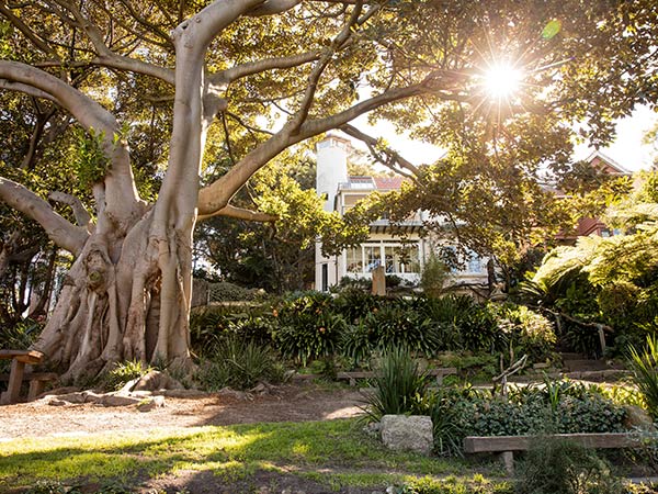 Wendy Whiteley's Secret Garden is one of the most romantic places in sydney