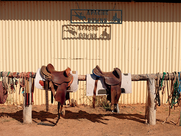 saddles along the main street of winton 150
