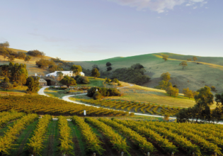 Barossa Valley wineries