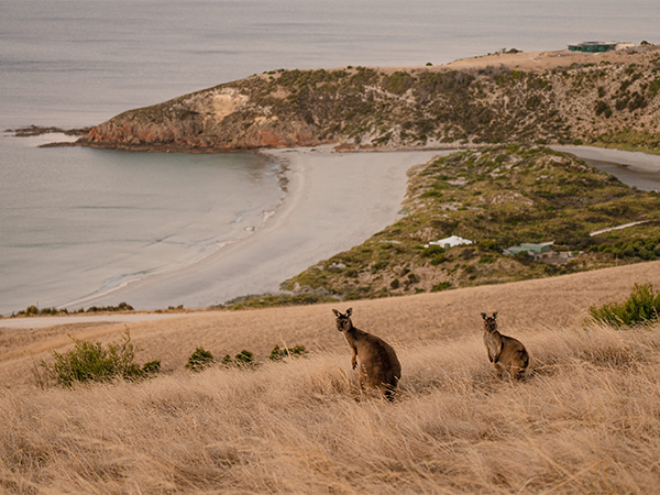 Kangaroo Island