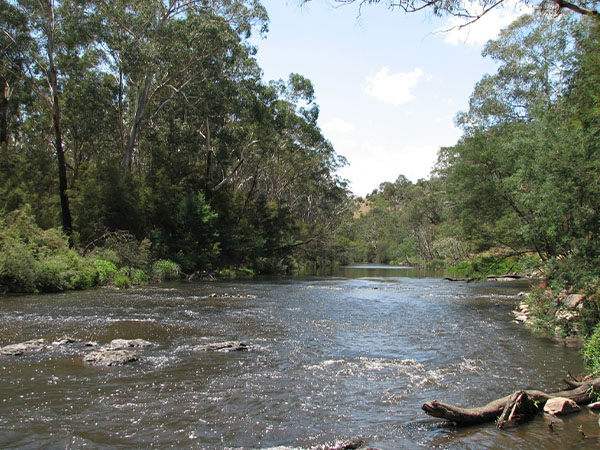 Wonga Park in Victoria