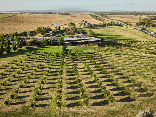 Yarra Glen valley