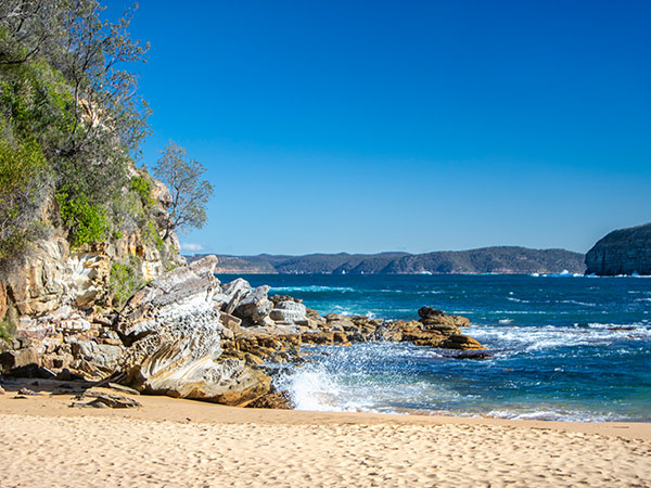 avoca beach