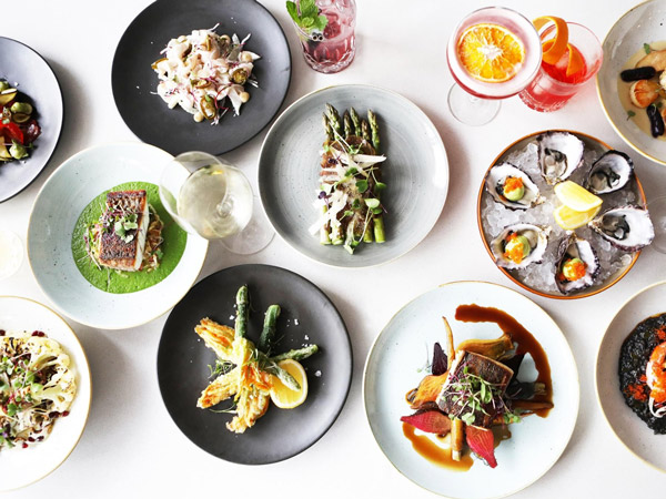 a spread of food on white background at Bills Fishhouse & Bar, Port Macquarie