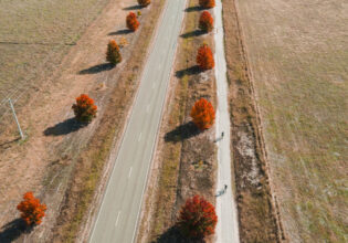 cycling through the Milawa Rail Trail