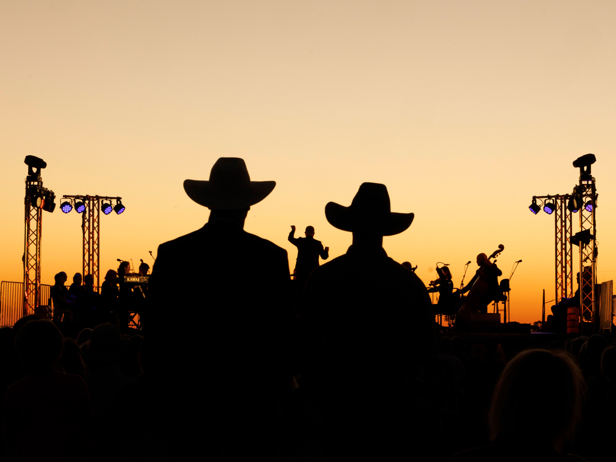 sunset silhouette at Singing In The Night