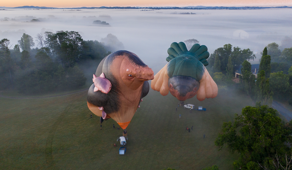 Skywhales Across Australia