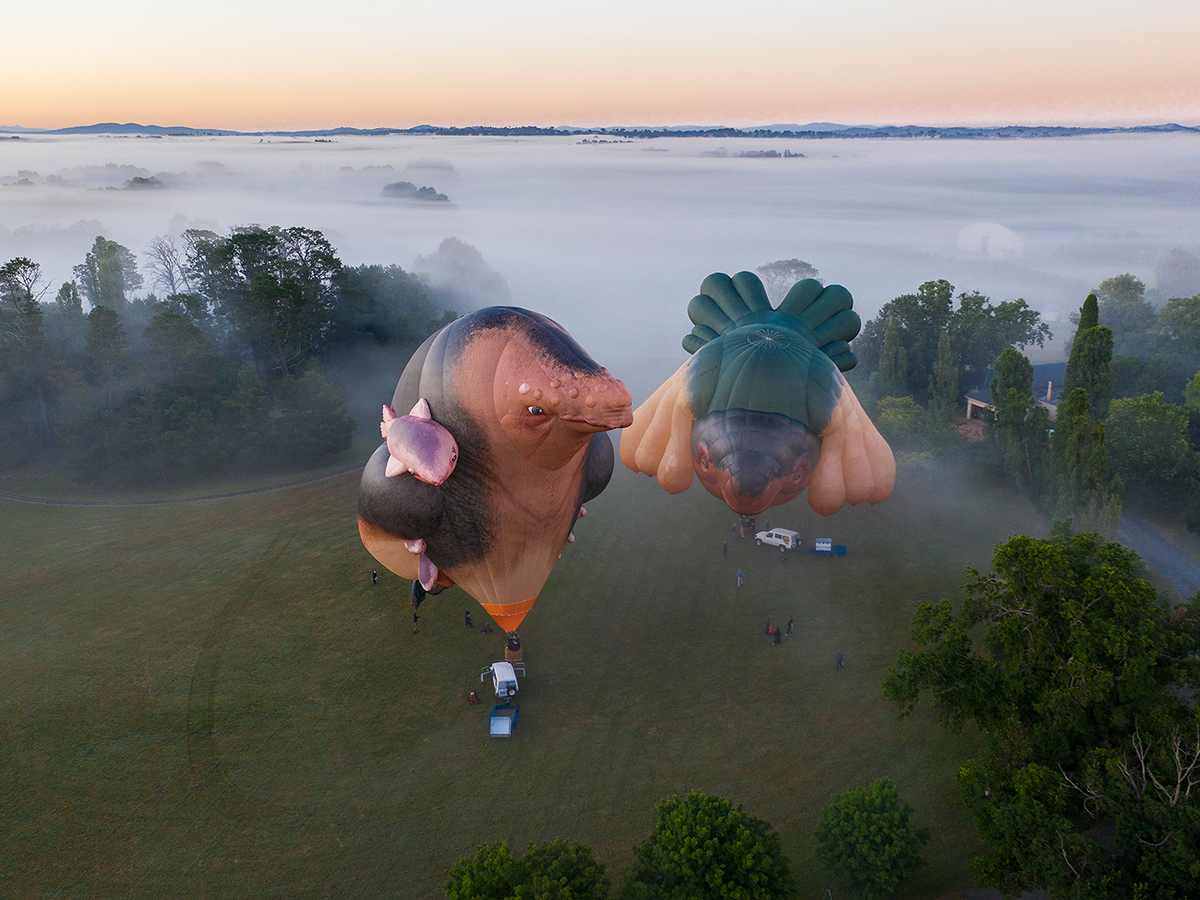 Skywhales Across Australia