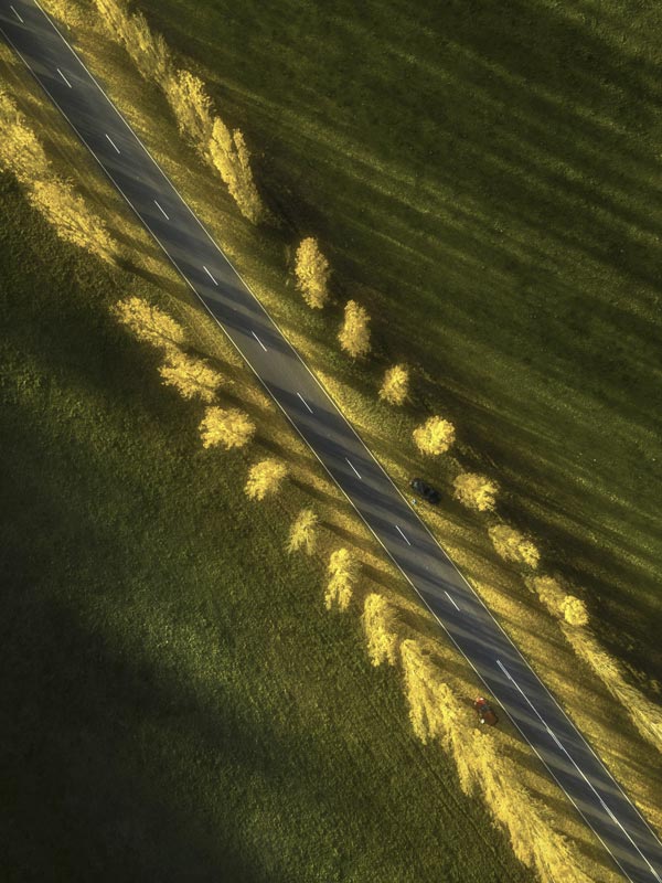 Yarra Valley Road