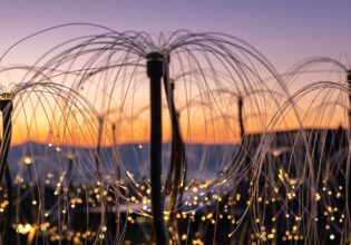 Mildura gets a glow-up with all-new Bruce Munro light installation