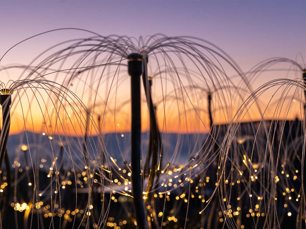 Mildura gets a glow-up with all-new Bruce Munro light installation