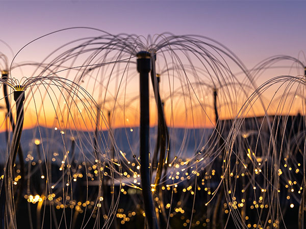 Trail of Light