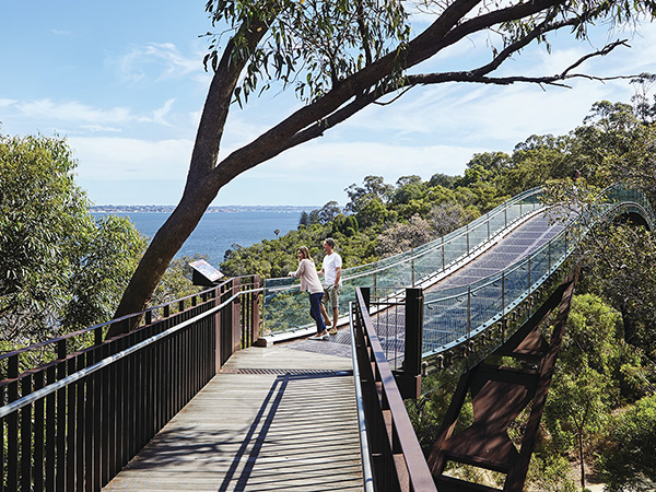 Couple enjoying the view from the Lotterywest Federation walkway at Kings Park and Botanical Garden.