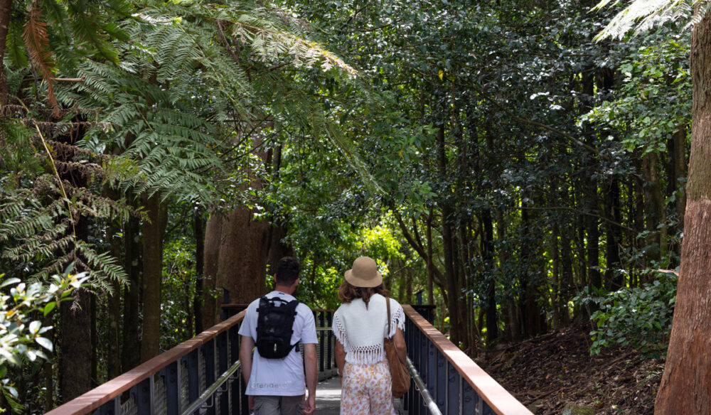 The Forest Lookout Boardwalk in the Blue Mountains Botanic Garden, NSW