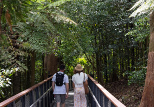 The Forest Lookout Boardwalk in the Blue Mountains Botanic Garden, NSW