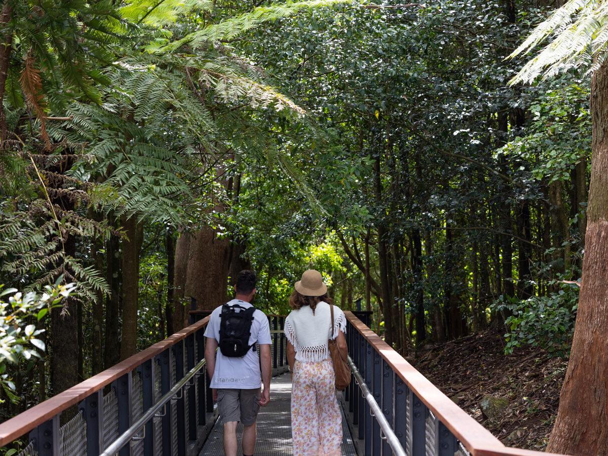 The Forest Lookout Boardwalk in the Blue Mountains Botanic Garden, NSW