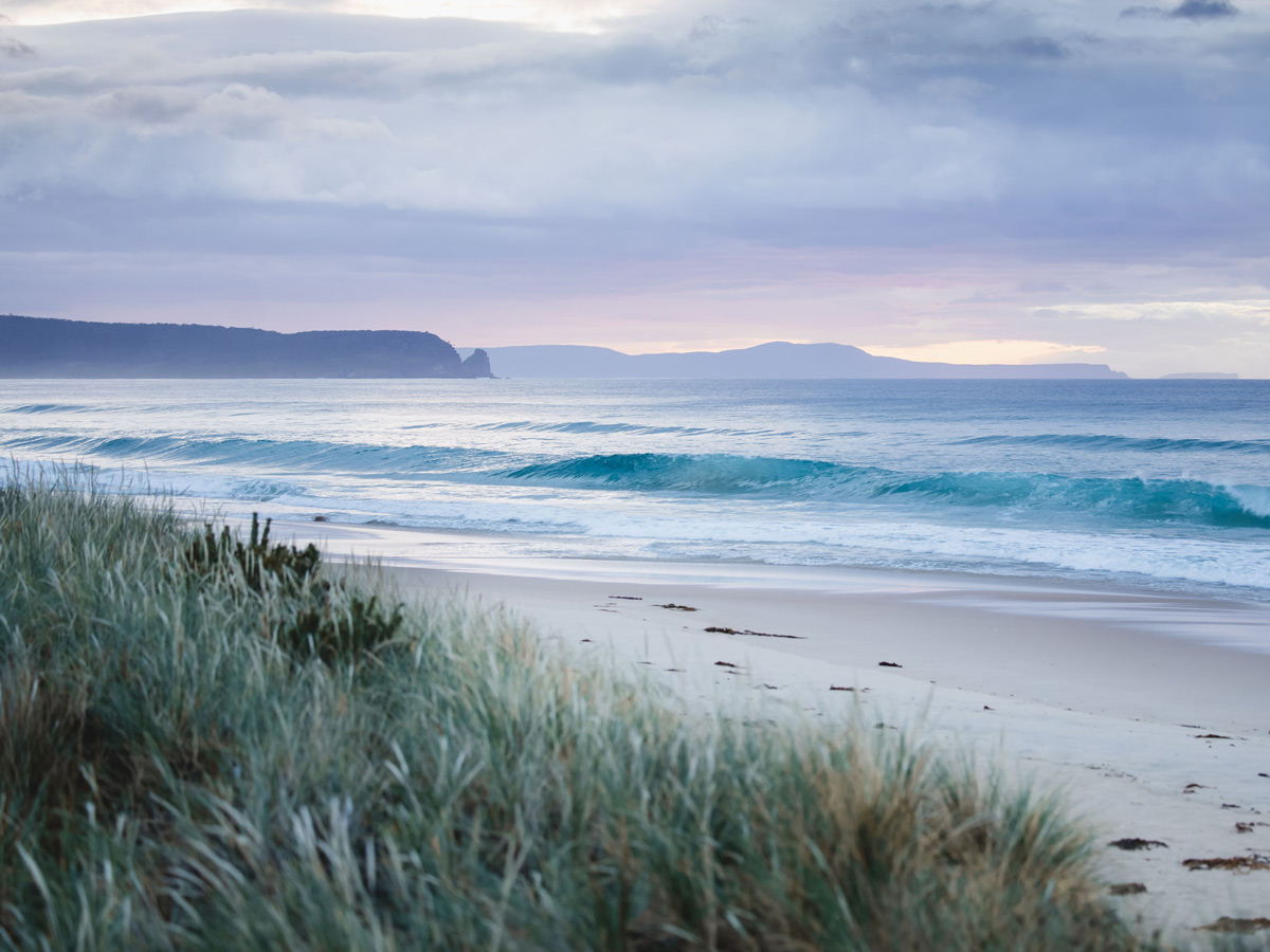 The Neck Bruny Island