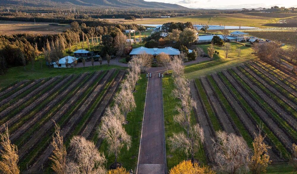 aerial view of pokolbin winery in the hunter valley