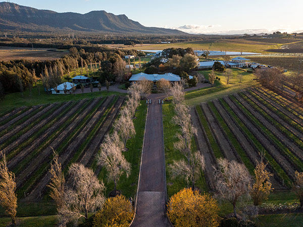 pokolbin winery in the hunter valley