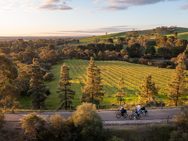 InterContinental Barossa Resort & Spa