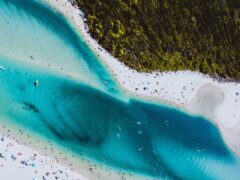 aerial view of swimmers at Tallebudgera in queensland