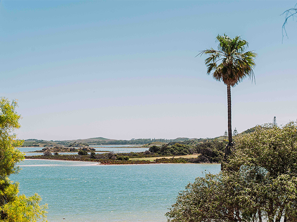 The Lodge Wadjemup water view