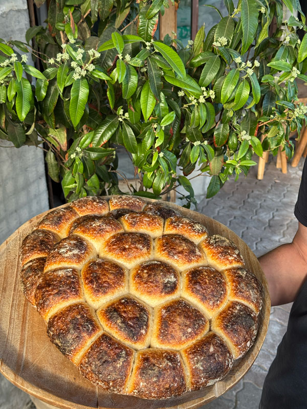 the sourdough wheel at Iggy’s Bread, Bronte