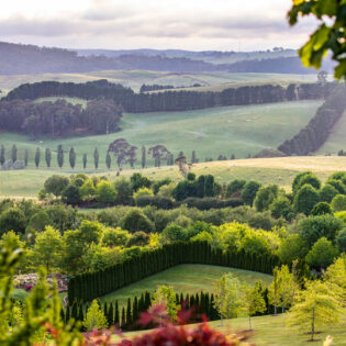 scenic views across Mayfield Garden, Oberon