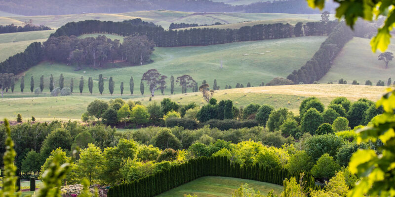 scenic views across Mayfield Garden, Oberon
