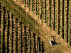 aerial of helicopter on Ascend Wine Odyssey