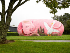 The Big Potato Babe transformation to The Pig Potato