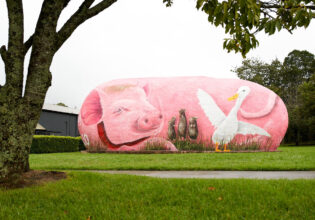 The Big Potato Babe transformation to The Pig Potato