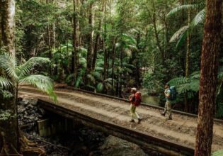 Gidjuum Gulganyi Walk Scrub Creek walking track