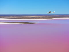 Kati Thanda-Lake Eyre is about to flood for the first time in years