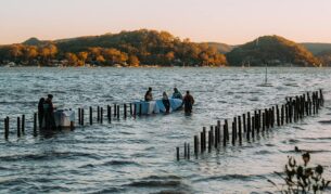 guests in the water for an experience at Sydney Oyster Farm - Central Coast food