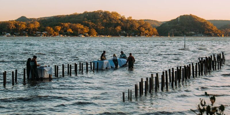 guests in the water for an experience at Sydney Oyster Farm - Central Coast food